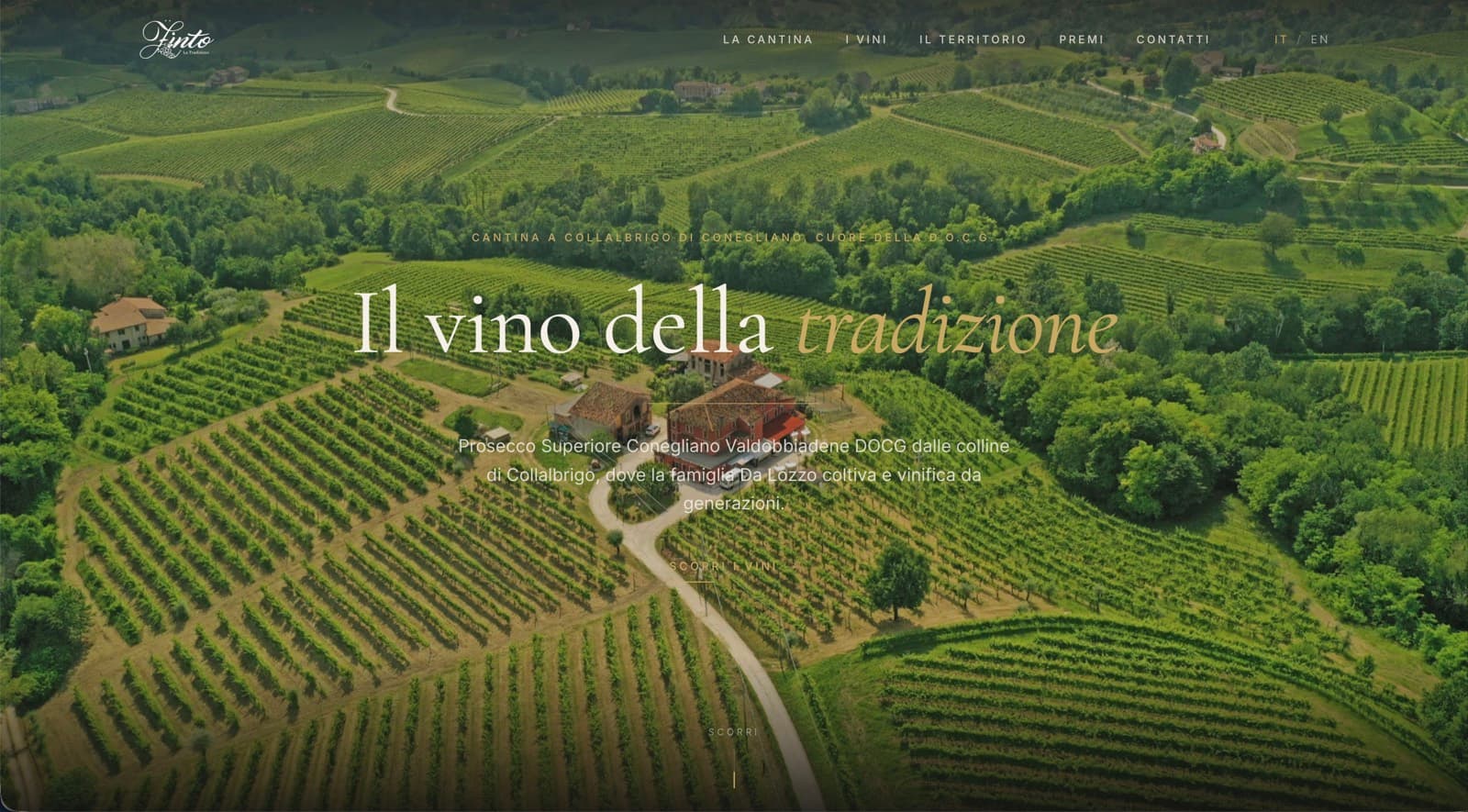 Homepage di www.zintowine.com: vigneti di Collalbrigo visti dall'alto con il titolo «Il vino della tradizione».